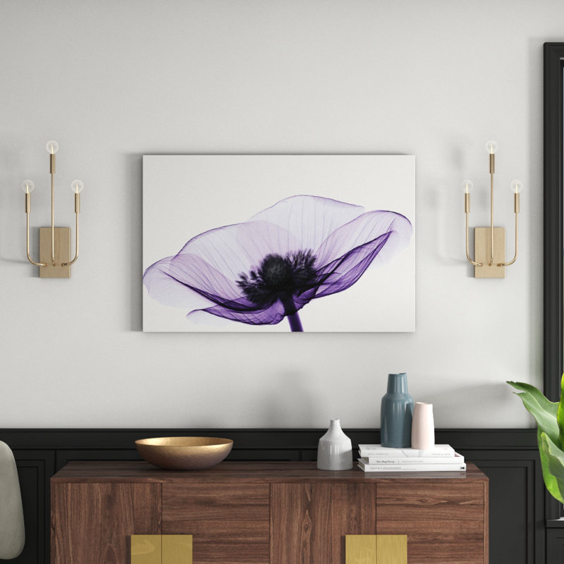 Anemone II - Print on Canvas, 101.6 cm H x 66.04 cm W, Wrapped Canvas