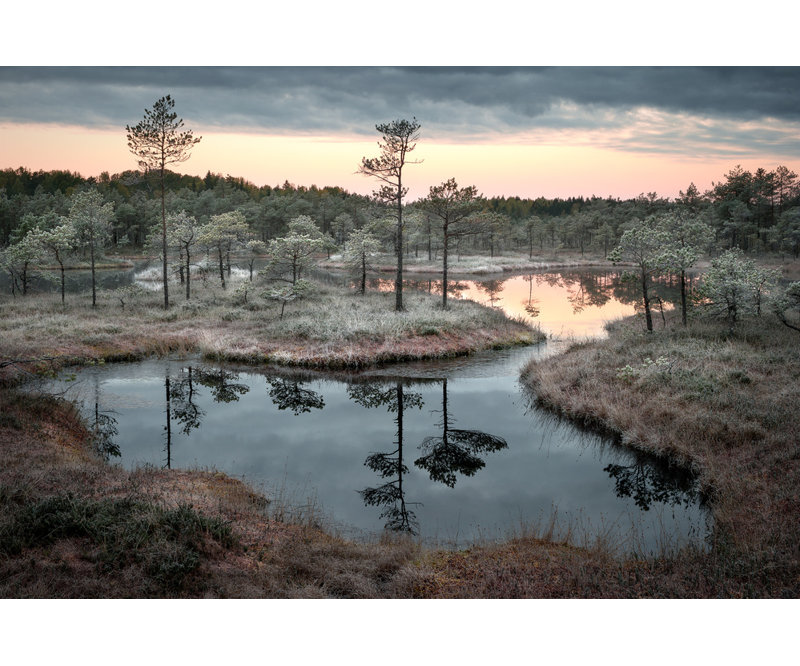 Wrapped Canvas Print, 60.96 cm H x 91.44 cm W