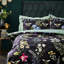 Hookstown Black-1596858784