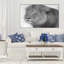« regarde lion », reproduction de photo sur toile tendue-29334210