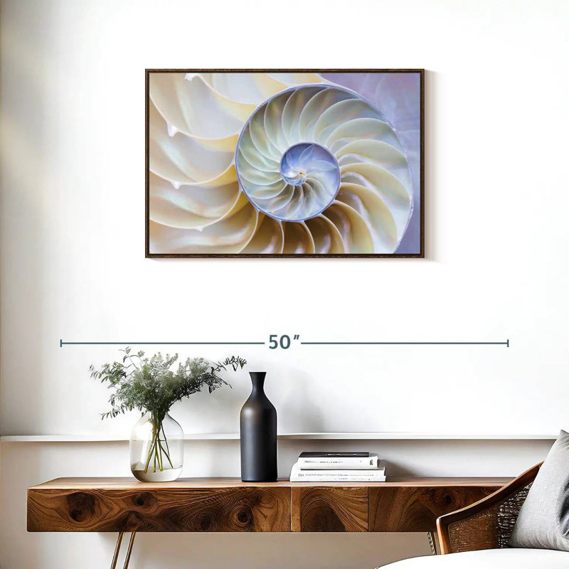 Empty Nautilus Shell, 31" X 21", Floating Frame Walnut
