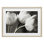 Rangée de tulipes monochromes, reproduction sous verre, conception par Tom Quartermaine
