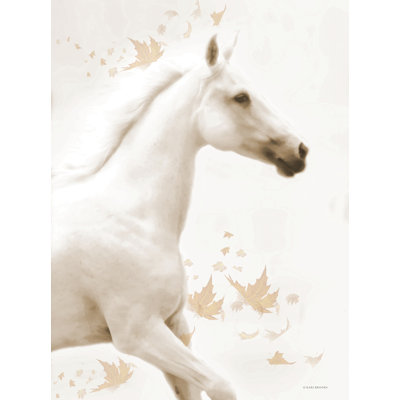 «Autumn Bella on Canvas» par Kari Brooks, reproduction