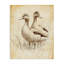 Paire de canards rétro, conception par Petal Prints Design-1343431197