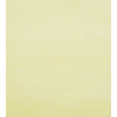 Essential Velvets Glamour Fabric