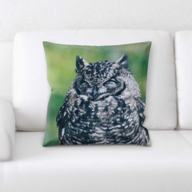 Coussin oiseau