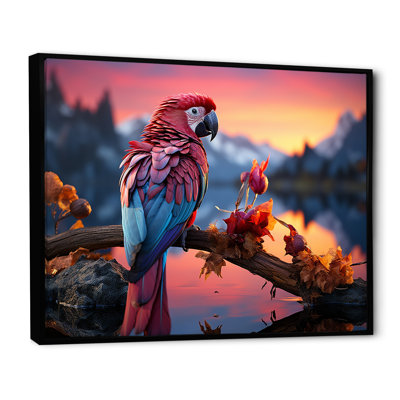 Coucher de soleil rouge et bleu avec plumage radieux au coucher du soleil