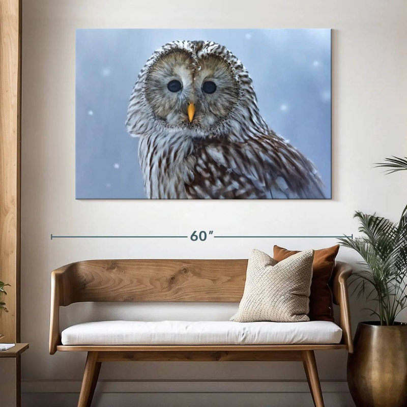 Chouette de l'Oural Brampt dans la neige, H 34 po x l 51 po