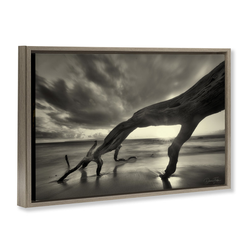 Toile flottante encadrée «Tree Trunk on Shore» par Dennis Frates, Cadre flottant orme Montalcino, H 21 po x l 31 po