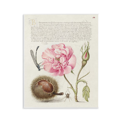 Art antique par Joris Hoefnagel