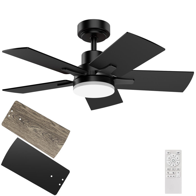 Ceiling Fans with Lights and Remote, 32" Wide, Black