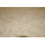 Wool Oriental Area Rug in Beige