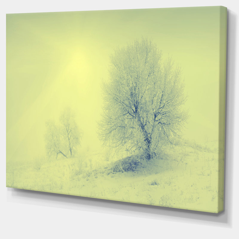 «Beautiful Winter Snow Valley», reproduction de photo sur toile tendue, H 12 po x l 20 po