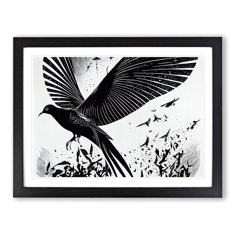 Awe Inspiring Bird - Single Picture Frame Print, Black Framed, 25cm H x 34cm W x 2cm D