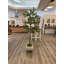 Faux Foliage Tree-778791663