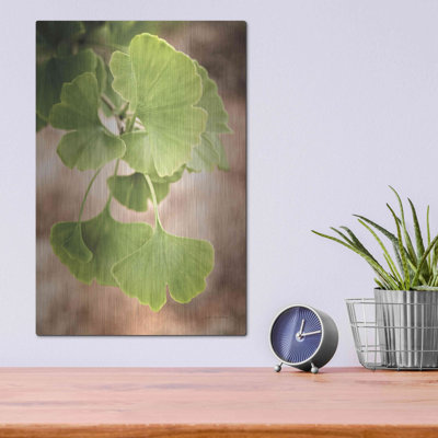 «Sprouting Ginkgo IV» par Debra Van Swearingen