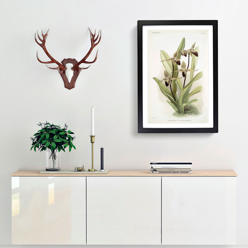 Magnolia Flowers Illustration Tab.61 by Frederick Sander - Picture Frame Art Print, 76cm H x 50cm W x 2cm D, Black