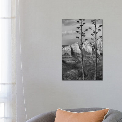 Agave, Red Rock Country from Schnebly Hill Vista,, Arizona 1 Piece Wrapped Canvas Wall Art