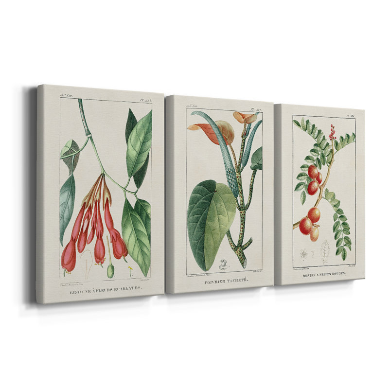 Turpin Tropical Botanicals I - Toile tendue avec châssis sur mesure - 3 pièces, H 12 po x l 24 po