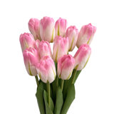 Tulip Arrangement