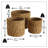 Made by Nature Plant Baskets