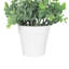 Eucalyptus artificiel 3,5 po en pot-966783723