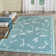Thornell Indoor / Outdoor Rug