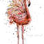 « flamand », impression-24266602-24266624