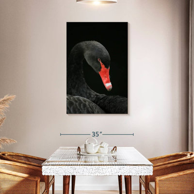 Brampt Black Swan Head
