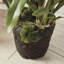 Stiles Faux Flowering Plant