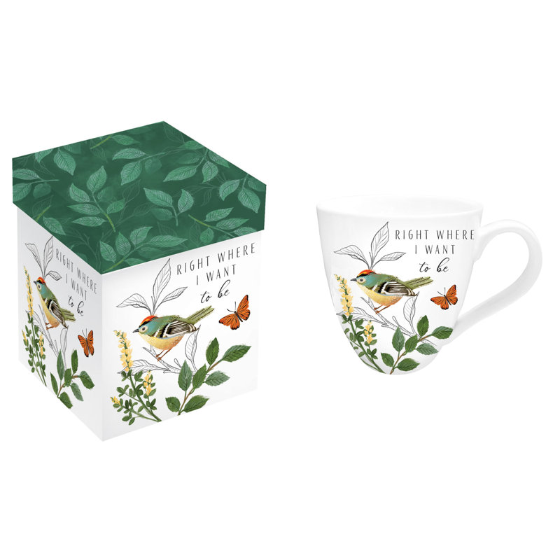 Boîte-cadeau en céramique, 17 oz, boîte-cadeau Bird