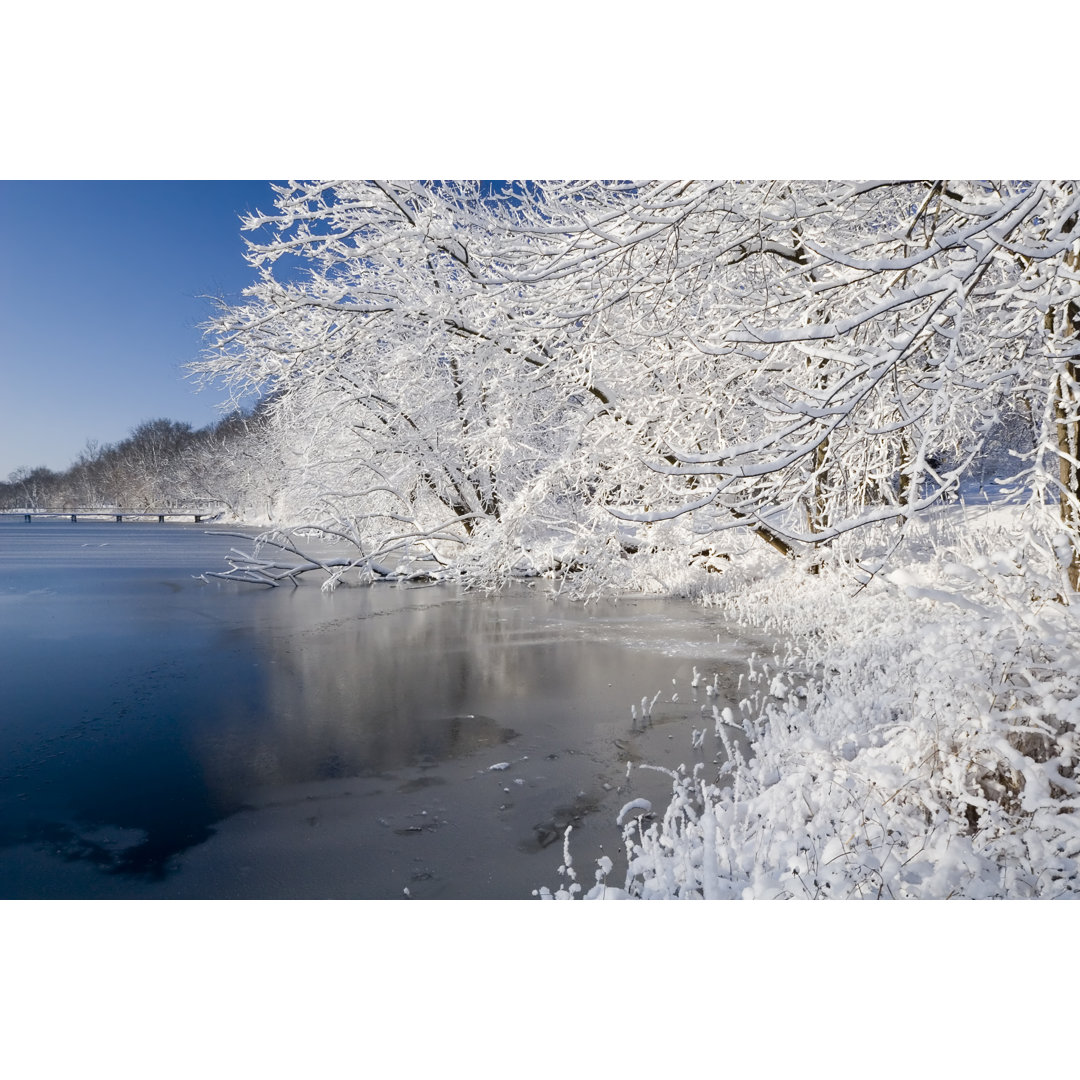 Winterliche verschneite Bäume von Stevegeer - Drucken