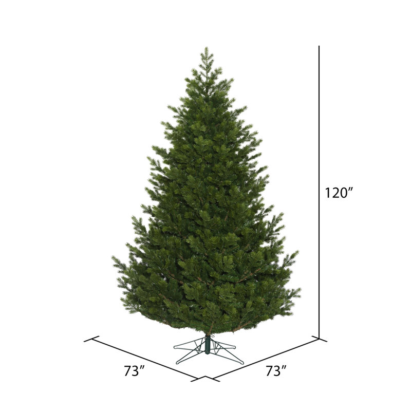 Eagle Frasier Artificial Christmas Tree Warm White Dura-lit® LED Lights with Stand, Pre-Lit, 10' H x 73" W