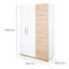 Lion Convertible 3 -Piece Nursery Furniture Set