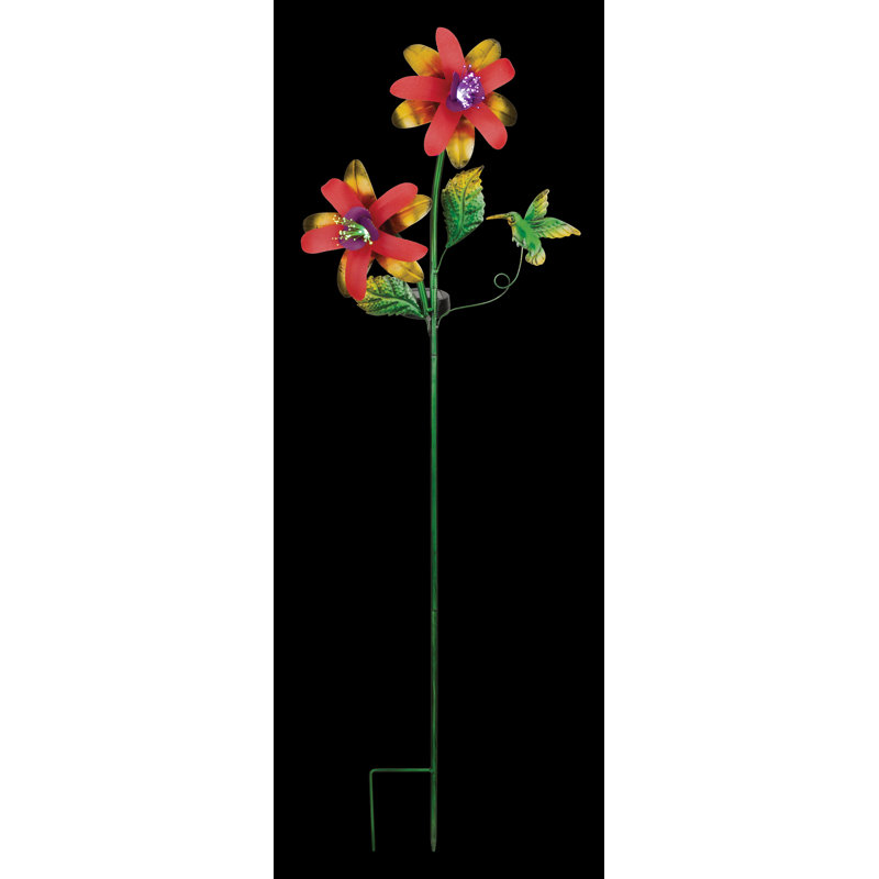Piquet solaire fantaisie, Fuchsia