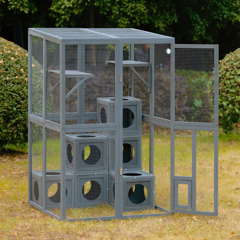 Aire de jeu pour chat avec pin gris - Offrez un plaisir sans fin à votre maison de chats pour une maison durable