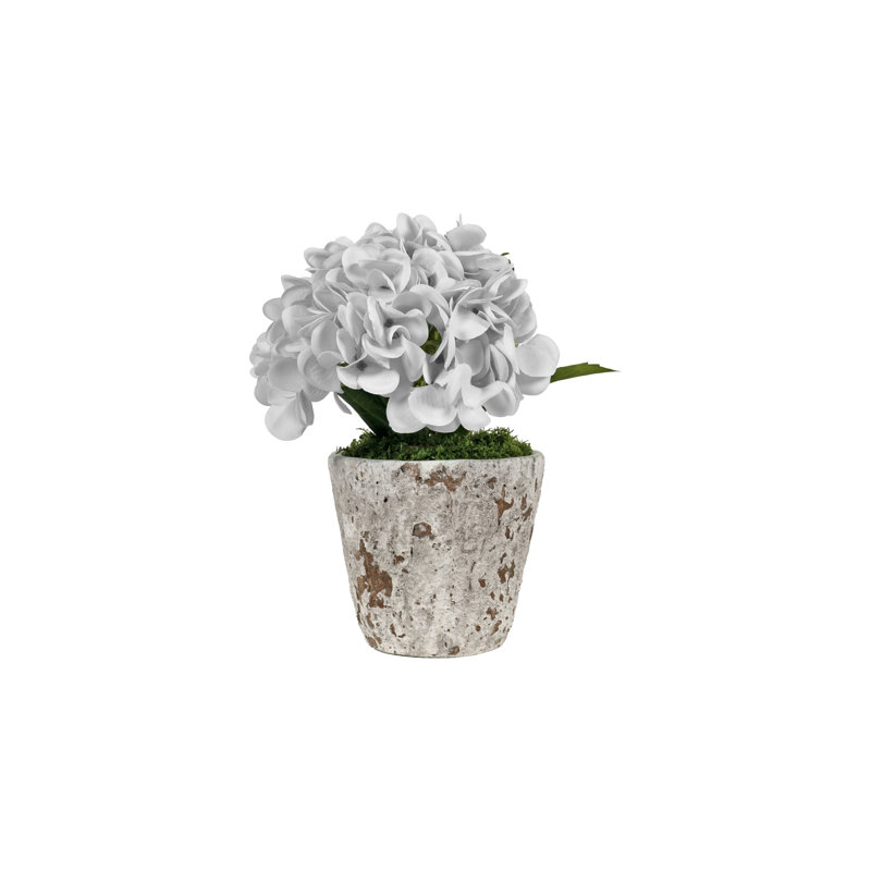 Hortensias blancs dans un pot à fleurs en bois vieilli, Blanc
