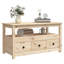 Kitron Solid Wood Four Leg Coffee Table with Storage-1855400620