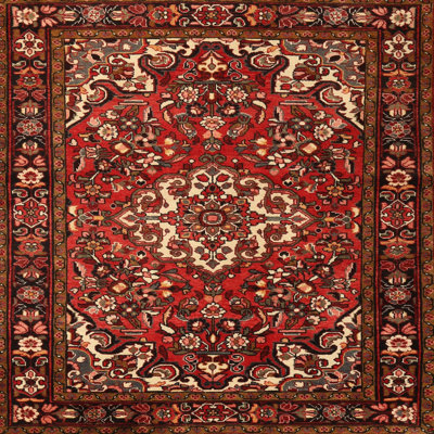 Oriental Indoor Rug