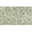 Tapis de sol Palm Leaf-1898994772-1898994770
