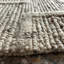 Hand Knotted Wool Area Rug in Gray-557313522