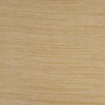 Great Basin Sheer Fabric