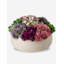 Georgina Sedum Artificial Succulent Floral Arrangement in Pot-1703335087