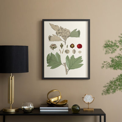 «Leaves & Berries IV», reproduction encadrée - bois massif