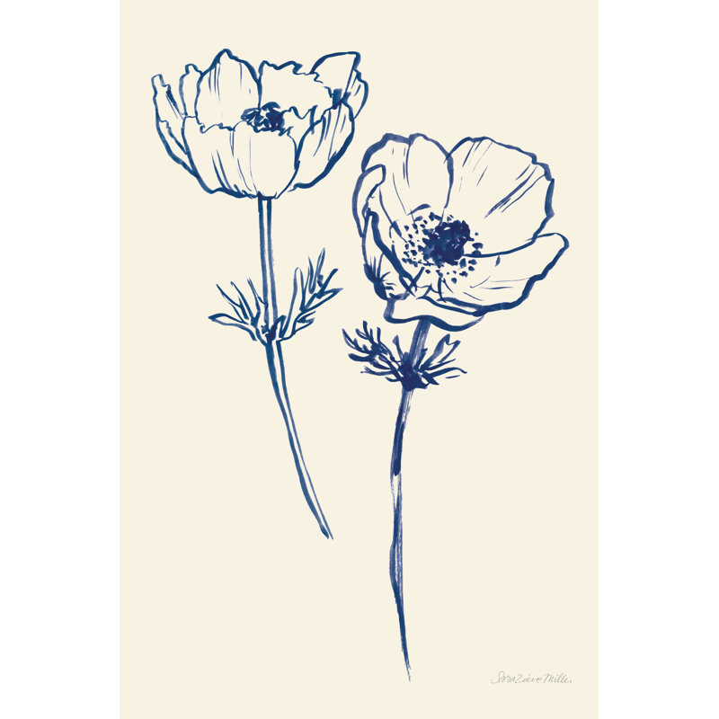 Ink Anemones I by Sara Zieve Miller - Wrapped Canvas Print, 30cm H x 46cm W x 3.8cm D