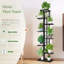 Plant Stand