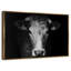 Réflexion sur une vache-1984467858-1984467857