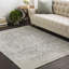 Brambach Power Loom Light Grey/Beige Rug-1803710279