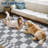 Checkered Rug for Living Room Washable Bedroom Rugs Non Slip Back Modern Classic Area Rug for Kids Boys Bedroom Home Decor Carpet for Dining Room Office-434211343-434211336
