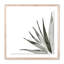 Agave I Print by Jess Engle-48615480-48615484